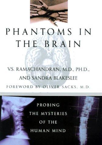 Phantoms in the brain