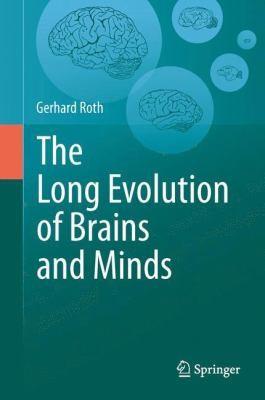 The Long Evolution Of Brains And Minds